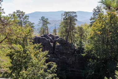 High isolated rocky ledge of sandstone with steep vertical sides in forest with growing pines on top clipart