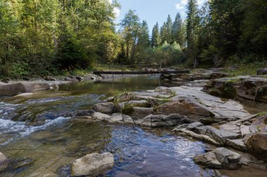 Sonbahar günü dar ahşap yaya köprüsü ve ormanı olan küçük bir dağ nehrinin kıyısında.