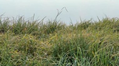 Güneş doğarken sakin bir su ve yansıması olan bir rezervuar.