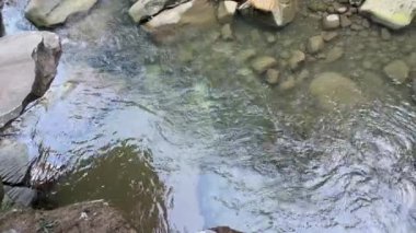 Su taşların arasında akar küçük dağ nehrinde, üst manzarada.