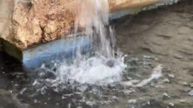 İsviçre Kanadı, Hofburg, Viyana 'nın avlusunda ejderha başı çeşmesi