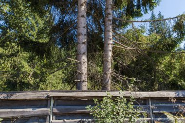 Sonbahar güneşli günlerinde eski püsküllere karşı zamanla karartılan plansız yumuşak odunlarla yapılmış bir çit parçası.