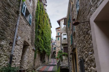 İtalya 'nın Dolceacqua kentindeki eski kasabadaki tırmanma tesisleriyle süslenmiş engebeli taş duvarlar arasında dar yaya sokakları.