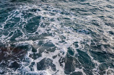 Çin ambarının kırmızı çiçeği açık havada bulutlu havada.