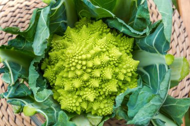 Kırpılmış ağaç gövdeleri ve yaprakların arasında taze Romanesco brokolisinin başı, masanın üzerindeki bir yer minderinin üst görüntüsü.