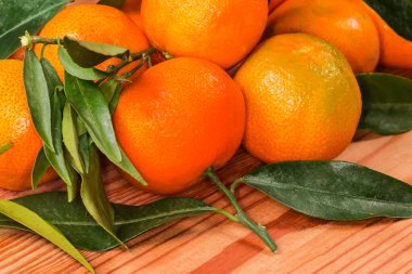 Taze toplanmış küçük mandallar yığını, mandalinadan bir narenciye karışımı gibi ve küçük dalların üzerinde tatlı portakal ve ahşap bir yüzey üzerinde yapraklar.