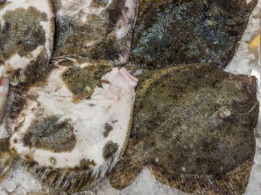 Balık ve deniz ürünleri pazarında buzda satılmakta olan, yassı balık olarak da bilinen birkaç çiğ taze dil balığı.