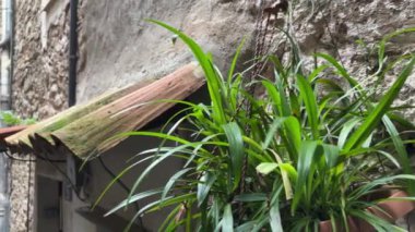 Dolceacqua, İtalya 'da kemerli dar sokaklar