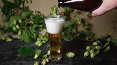 Şişeden bardağa zıpzıplara bira dökerek