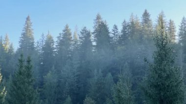 Güneşli bir sabahta dağların zirvesinde yaşlılar ve gençler