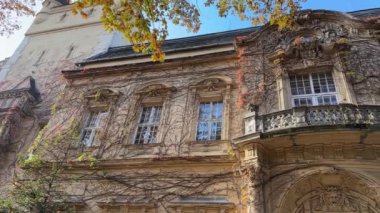 Vajdahunyad Kalesi 'nde tırmanma tesisleri yoğun bir şekilde büyümüş.