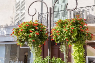 Çiçek saksılarında yetişen kırmızı çiçeklerle çiçeklerin açtığı çiçek desenli metal bir sütunun üzerinde güneşli bir günde şehrin caddesindeki binanın cephesine asılı duran ağaçlar.