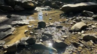 Güneşli bir günde yüksek kayalık kıyıları olan dağ nehri