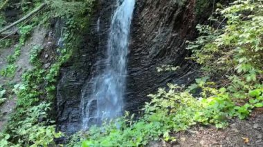 Ormandaki kayalık yamaçtaki bir nehirde şelale.