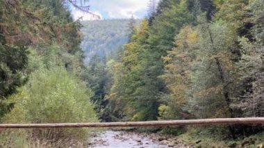 Yaya köprüsü ve orman kıyıları olan küçük dağ nehri.