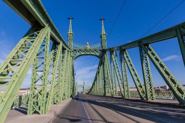 Budapeşte 'de 19. yüzyılın Özgürlük Köprüsü. Sürüklenmiş demirden yapılar, dekore edilmiş direkler, yol manzarası, parça.