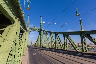 Budapeşte 'de 19. yüzyılın Özgürlük Köprüsü. Sürüklenmiş demirden yapılar, dekore edilmiş direkler, yol manzarası, parça.