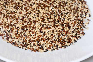 Mix of raw black, red and white quinoa seeds on a white dish, fragment close-up in selective focus clipart