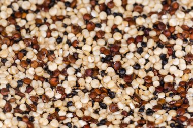 Heap of the mix of raw black, red and white quinoa seeds, fragment close-up in selective focus clipart