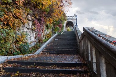 Fragment of old stone staircase with stone railing next to a precipitous rock on steep hillside overgrown with different plants with autumn leaves, bottom view against the cloudy sky clipart