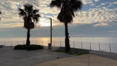 Denize ve gökyüzüne karşı yelpaze palmiyeleri