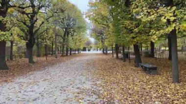 Sonbahar bulutlu bir günde yaprak döken ağaçlarla dolu parkta.