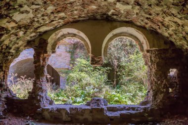 Eski kalede, çeşitli bitkilerle kaplanmış, güneşli bir sonbahar gününde, kemerli pencerelerden içeri bakan eski kazaen arkadaşlarıyla harap olmuş bir savunma tuğlası bina.