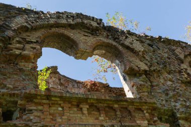 Fragment of the partly destroyed brick outer wall of a defensive structure with arched window openings overgrown with young trees in autumn sunny day, bottom view clipart