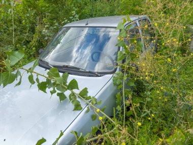 Terk edilmiş eski beyaz araba etrafta genç kavak ağaçları ve farklı yabani otlardan oluşan çalılıklar ile kaplanmış, bulutlu yaz gününde arabanın ön tarafından manzara