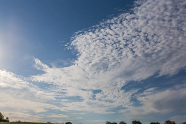 Gökyüzünün bir kısmı stratocumulus bulutlarıyla kaplı ve yazın güneşli bir günde ağaç tepeleri siluetleri.