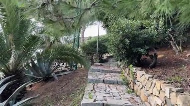 Değişik astropikal bitki örtüleri arasında taş merdivenleri olan bir halk parkı.