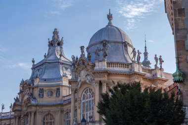 Budapeşte 'de 20. yüzyılın başlarındaki Vajdahunyad Şatosu' nda Macar Tarım Müzesi inşa edilmesi, sonbaharda güneşli bir sonbaharda bina ve çatı manzarası
