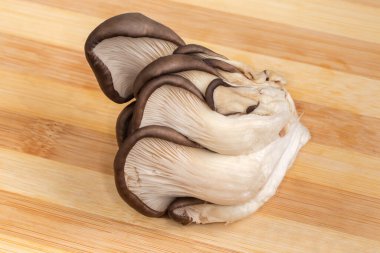 Tahta kesme tahtasının üzerinde işlenmiş çiğ istiridye mantarlarından oluşan küçük bir küme. Yakın plan.