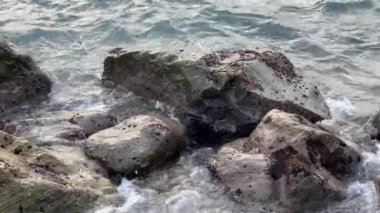 Kıyıya yakın taşlar bulutlu bir sabahta deniz suyuyla yıkanır.