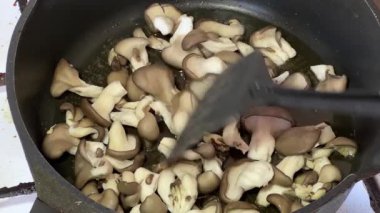 Kızartma tavasında çiğ istiridye mantarı pişiriyorum.