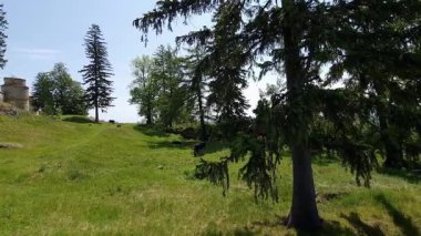 Ortaçağ savunma manastırı ilkbahar güneşli bir günde, Pidkamin, Ukrayna