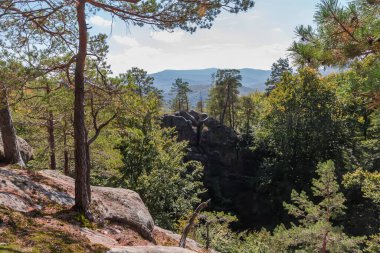 Güneşli bir sonbahar gününde, bir dağ ormanında kumtaşından oluşan büyük kayalıkların tepesinde büyüyen eski çamlar.