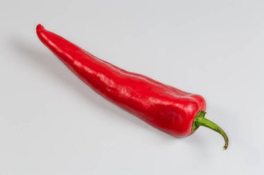 Gri bir arka planda uzun bir kapsül halinde tek olgun kırmızı biber türü Kapia.