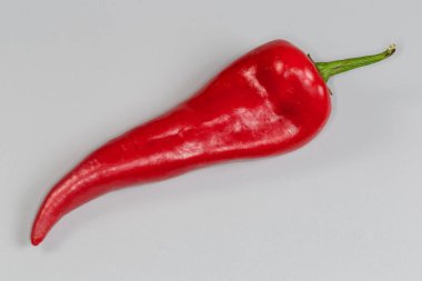 Tek olgun kırmızı biber Kapia 'nın uzun bir kapsülü gibi, gri arka planda üst görünümü.