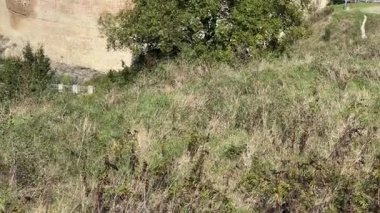 Ukrayna 'nın antik Khotyn kalesindeki kalenin genel manzarası