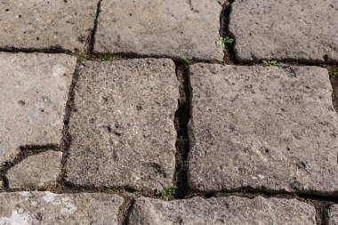 Antik şatonun parçası güneşli bir günde kabaca işlenmiş taş levhalarla döşenmiş.