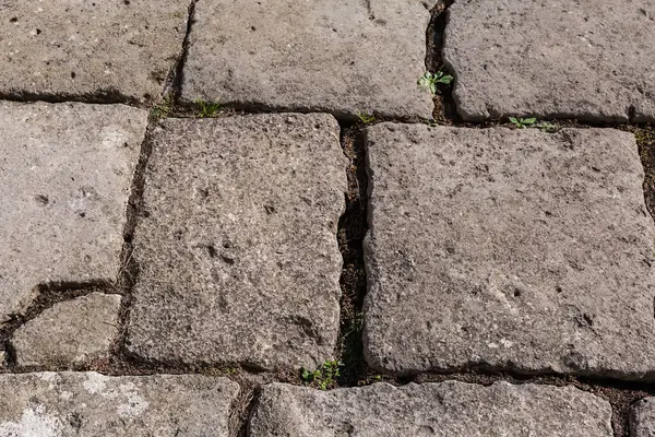 Antik şatonun parçası güneşli bir günde kabaca işlenmiş taş levhalarla döşenmiş.