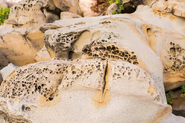 Bulutlu bir sabahta taştan bir sahil şeridinde aşınmış gri-sarı kumtaşı kayalar.