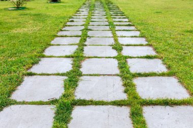 Çimenliğin ortasında bahar yağmuru sırasında çimlerle kaplanmış beton kare levhalarla kaplı ıslak patika.