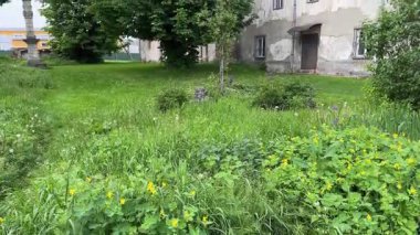 Ukrayna 'nın Hvizdets şehrinde savunma amaçlı Bernardine Manastırı kompleksi