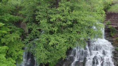 Ukrayna 'nın bulutlu bir günde Dzhuryn nehrinde şelale dalları