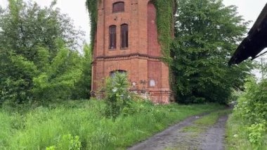 Eski tuğla su kulesi yağmur sırasında sürünen bitkilerle kaplanmış.