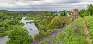 Ortaçağ taş şatosunun harabeleriyle nehir vadisi yüksek dik bir tepede çiçek açan çayır adaçayıyla kaplanmış ve bulutlu bir günde karşı kıyıda ormanlık alanda.