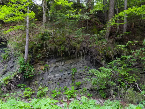 Karpatlar 'da bulutlu bir günde kayaların katmanlı yapısını gösteren dağ yamacının bir parçası.