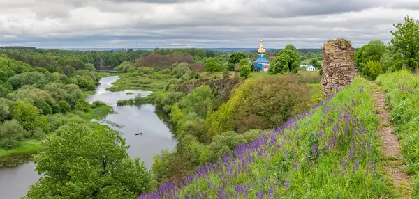 Ortaçağ taş şatosunun harabeleriyle nehir vadisi yüksek dik bir tepede çiçek açan çayır adaçayıyla kaplanmış ve bulutlu bir günde karşı kıyıda ormanlık alanda.
